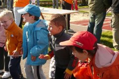 81-concours_de_sullens_2010
