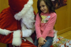66-noel_2011