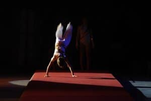 87-fsgb-soiree-2011