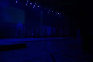fsg_soiree_2013_agres1_004