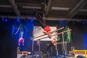 28112015_201817M_Genoud113