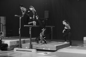 fsg-bussigny-photos-specatcle-very-bad-gym-2024-037