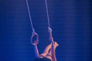 fsg-bussigny-photos-specatcle-very-bad-gym-2024-169
