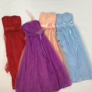 Robe Princesse Adulte