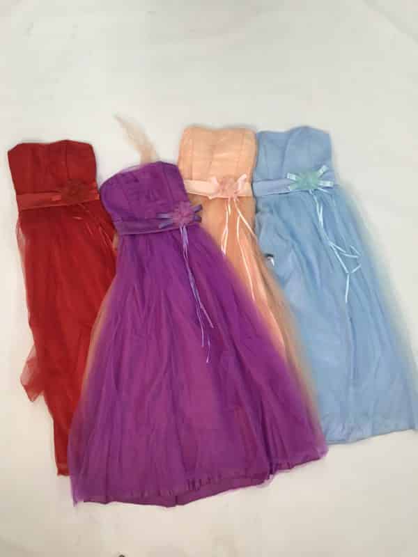 Robe Princesse Adulte