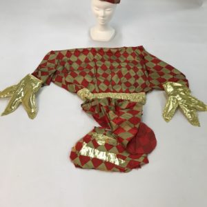 Costume Coq enfant