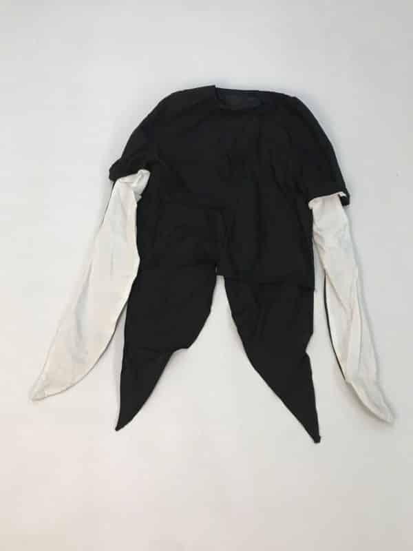 Costume pinguins