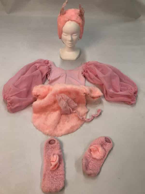Costume cochon