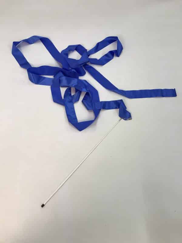 Ruban Bleu gym artistique
