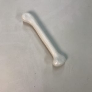 Os