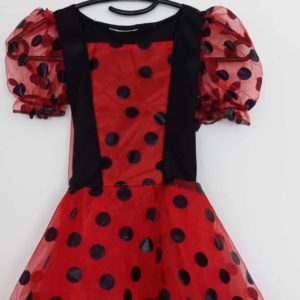 Robe Coccinelle